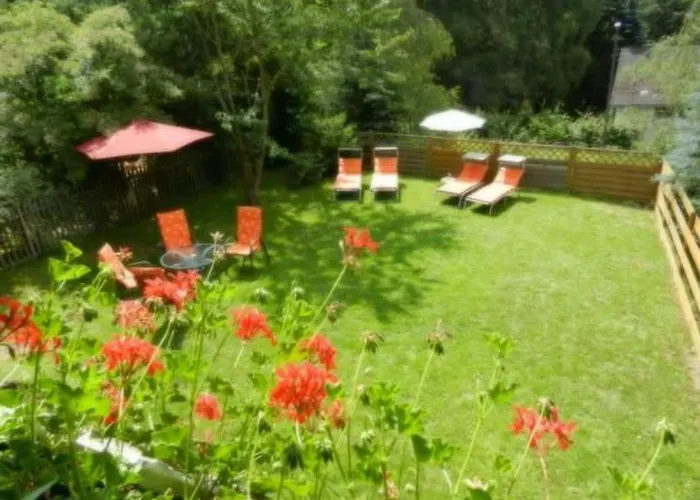 Eifelcottage Wildvogel By Interhome Casa vacanze