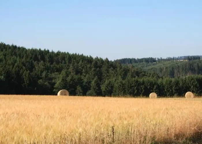 Casa vacanze Eifelcottage Wildvogel By Interhome *