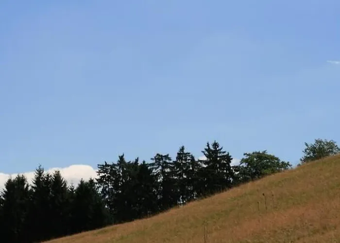 Casa vacanze Eifelcottage Wildvogel By Interhome